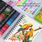72 Count Colored Pencils for Adult Coloring Books, Soft Core,Ideal for Drawing Blending Shading,Color Pencils Set Gift for Beginners Artists